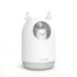 Kawaii Bear Lamp USB Humidifier - Limited Edition - White