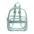 Kawaii Clear Transparent College Backpack - Limited Edition - Green