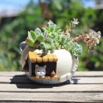Kawaii Cat Cafe Decorative Flower Planter Holder - Special Edition