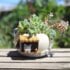 Kawaii Cat Cafe Decorative Flower Planter Holder - Special Edition